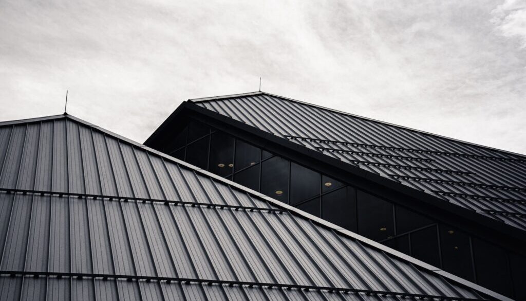 Roof Painting (2)