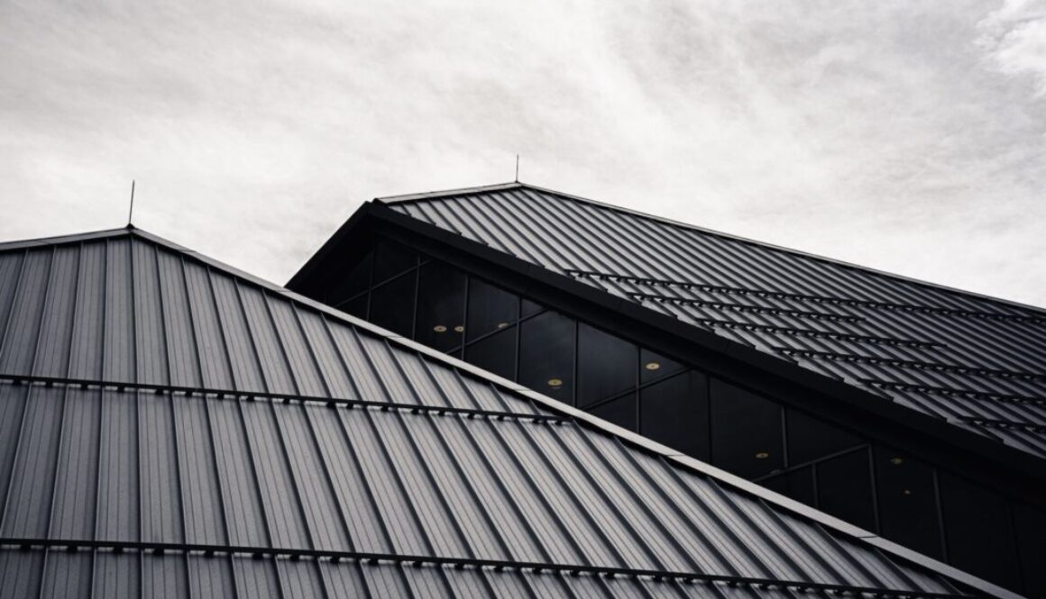 Roof Painting (2)